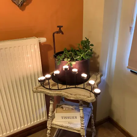 西城旅馆 招待所 3*