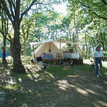 招待所 西城旅馆 绍丰泰恩